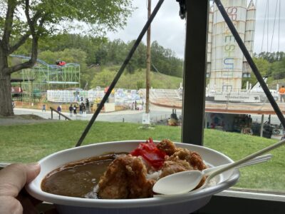 室内の窓越しに遊園地を背景にして、手前の唐揚げカレーを持つ様子。